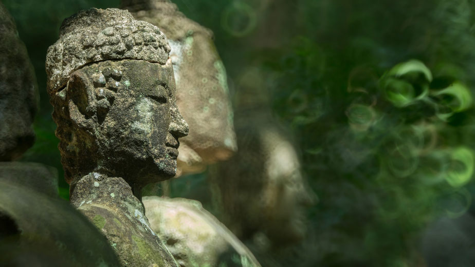 Buddha Statue in der natur